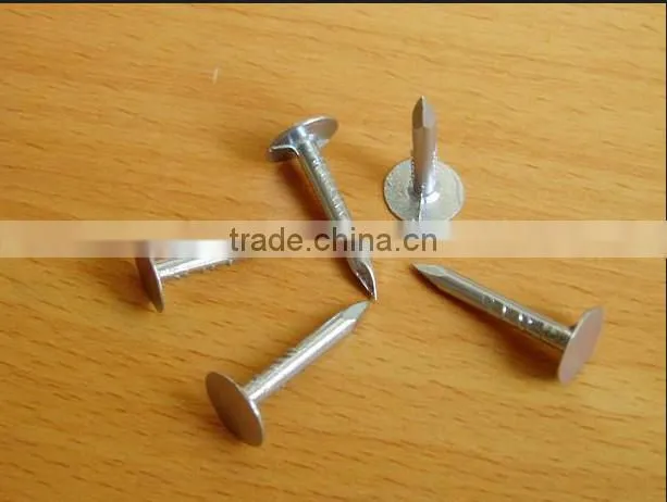 Galvanized clout nails /roofing nails flat head