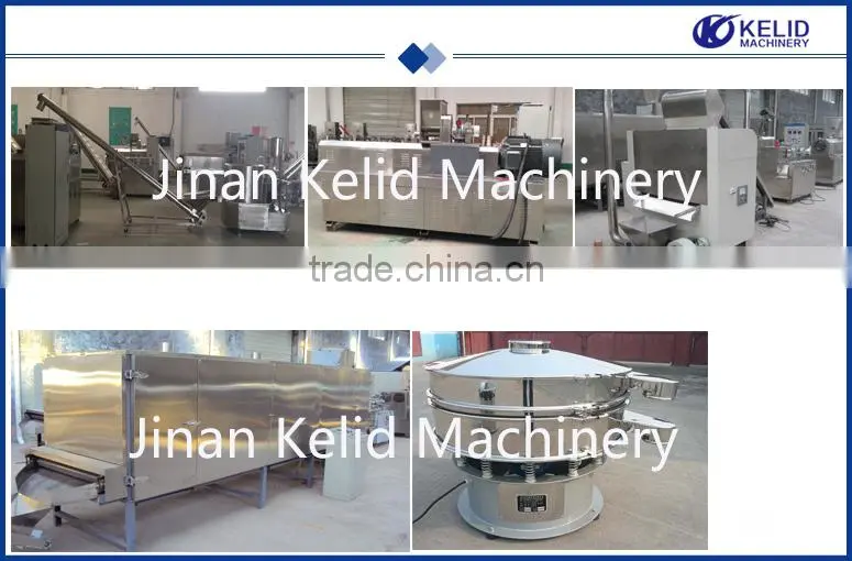 Full Automatic New Condition Panko bread crumbs extrusion line