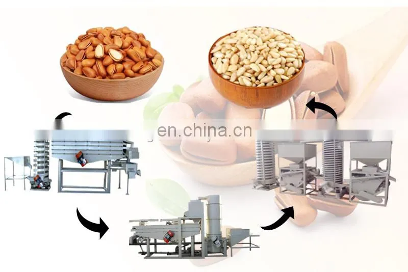 Hot Sale Melon Seeds Peeler Pumpkin Acorn Pine Nut Cracking Machine Snack Seed Nut Production Line