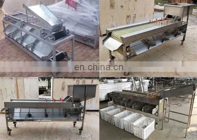 Apple Grading Machine/Potato Sorting Machine/Apple Sorting Machine.