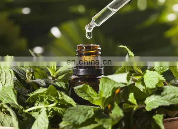 100L - 500L Borneol essential oil essential oil distillation equipment