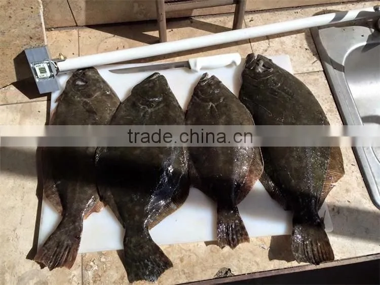 12V 30 W Led fishing chip used for led fishing lamp