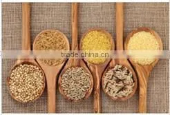 new model instant rice production line