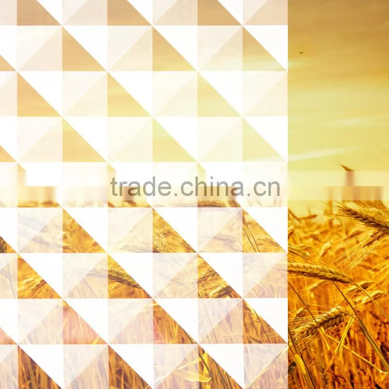 2015 window smart tint film glass film