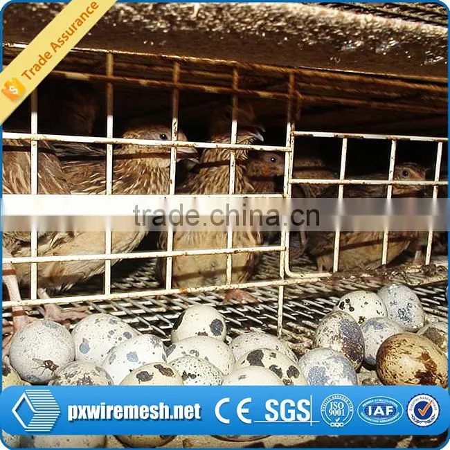 hot-dipped galvanized quail cage