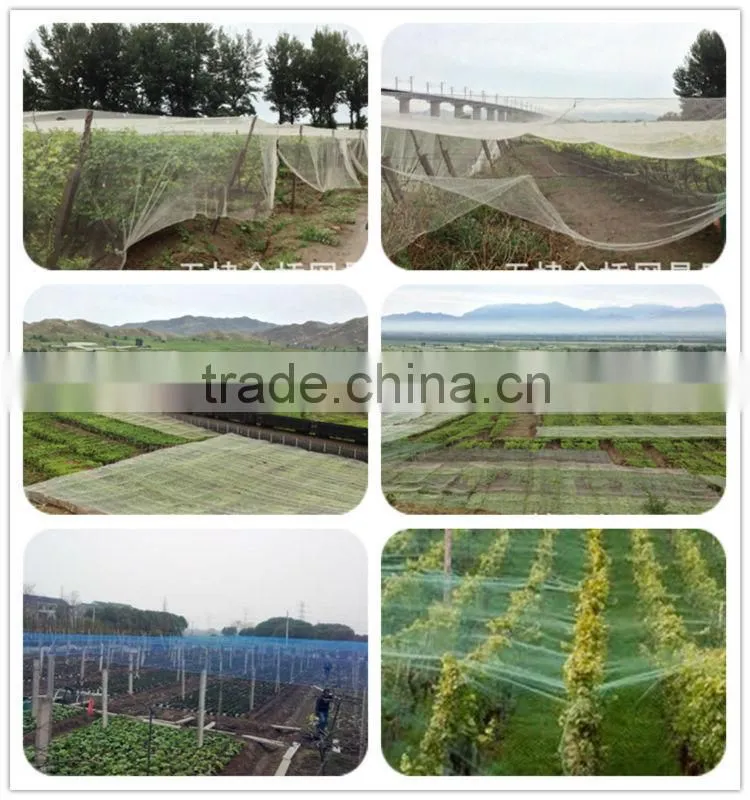 high quality anti hail protection agricultural net
