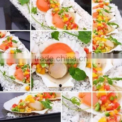 Mini vegetable chopper mixer mincer shredder