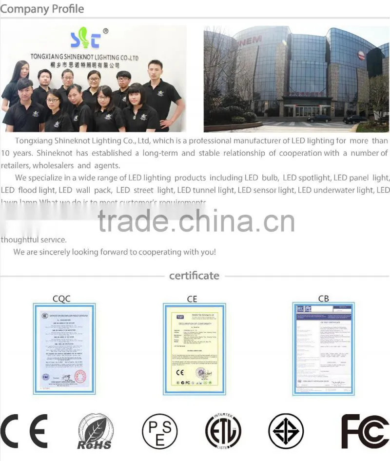 Quality assurance waterproof IP65 36W LED street light 85-265V