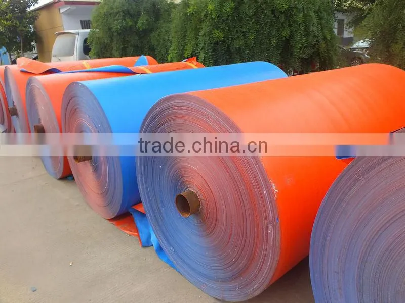 Custom Size Color PP Canvas Tarpaulin Waterproof Plastic Blue Orange Tarpaulins Direct