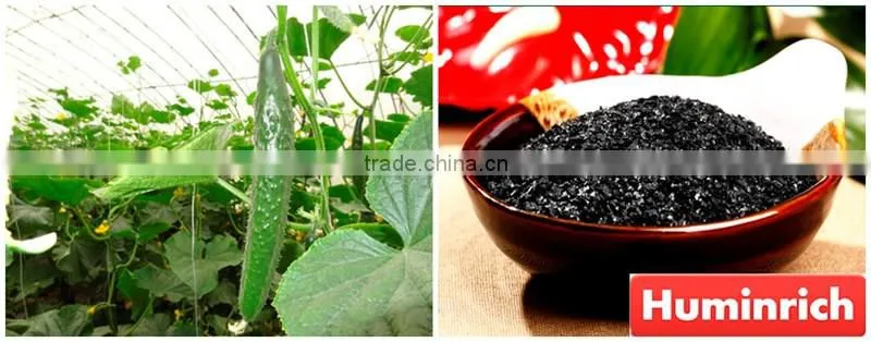 FAQ 2--Potassium Humate Fulvic Acid Fertilizer For Cucumber