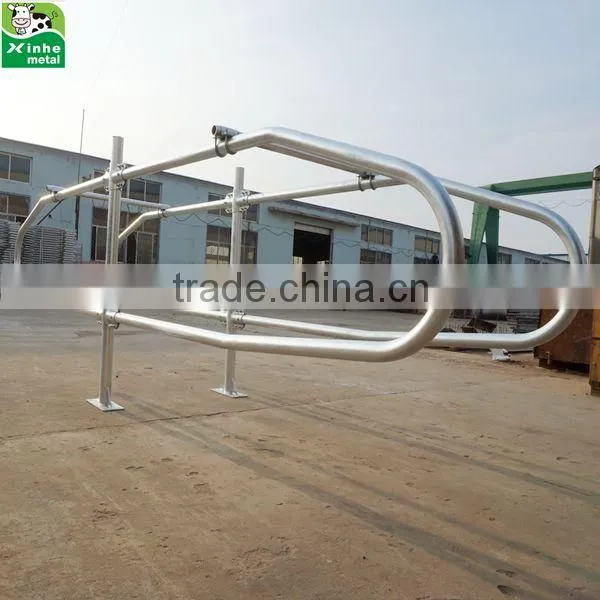 New design Cattle cow free stall cattle cubicles