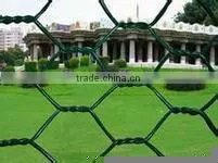Wholesale Galvanized or PVC coated Chicken Wire Mesh/hexagonal wire mesh (manufacturer ISO9001 )