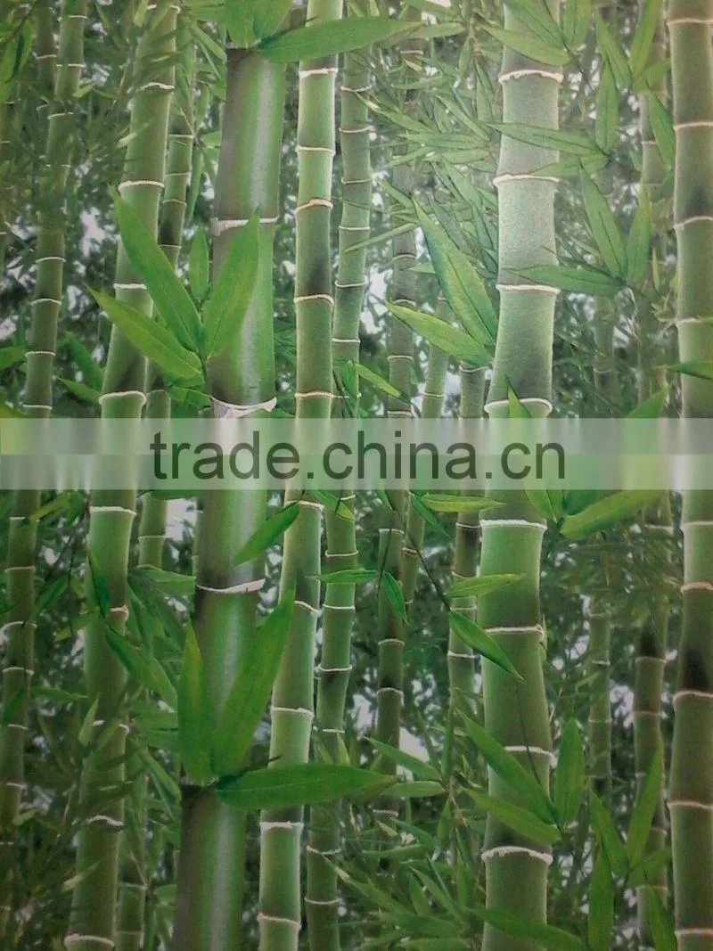 bamboo design wallpaper