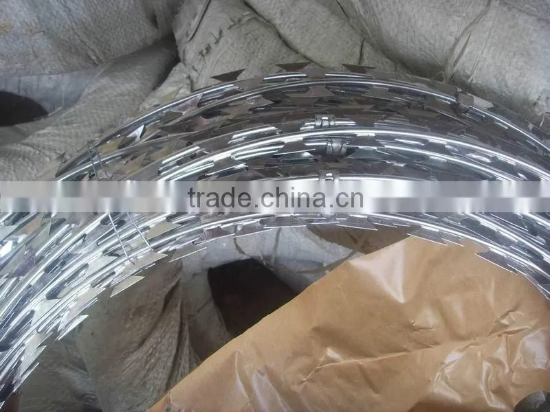 cheap razor barb wire/galvanized razor wire