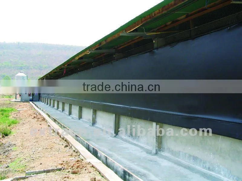 Curtain system for swine farm