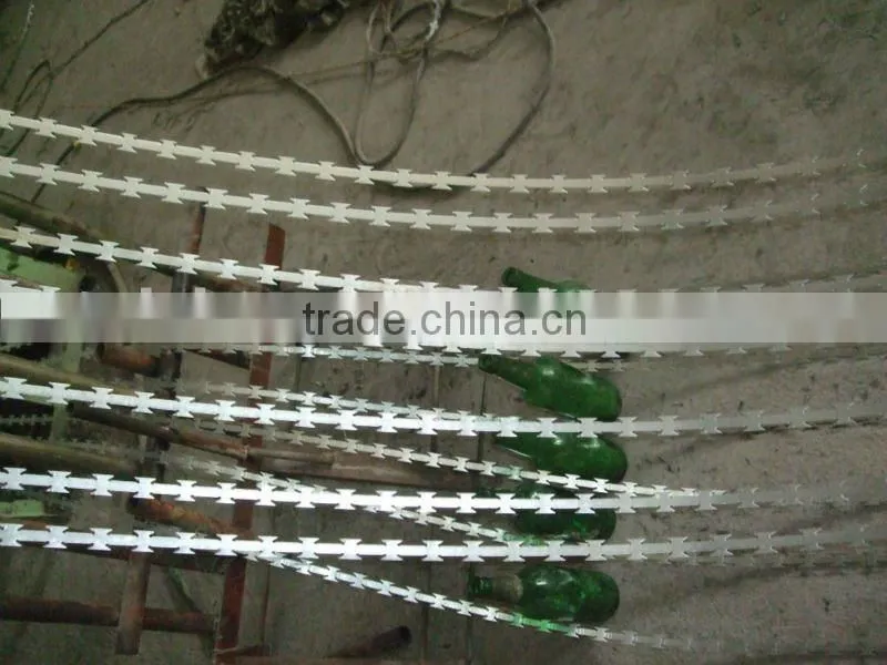 cheat price galvanized razor barbed wire in China