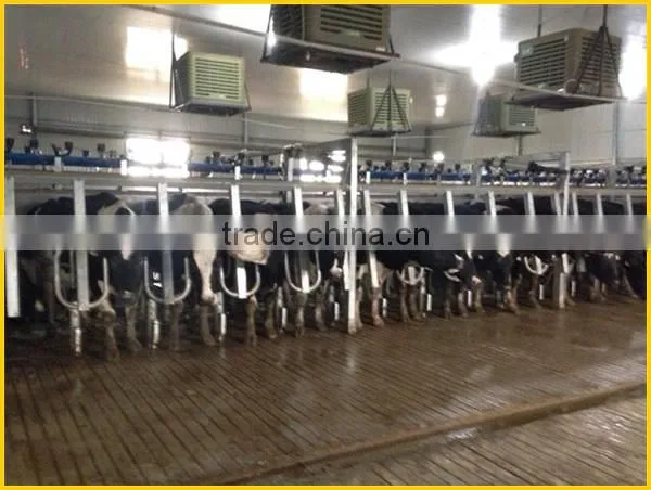 Milk delivery line, automatic milking parlor