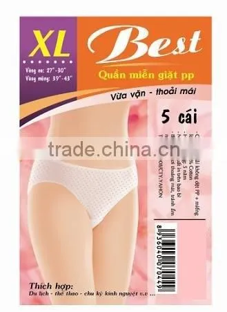 Vietnam Hot Selling Comfortable Disposable Maternity Panties