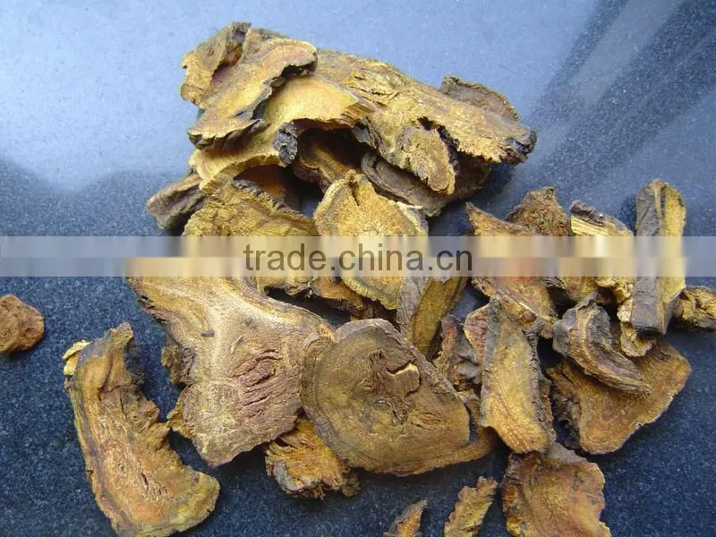 Rhubarb root