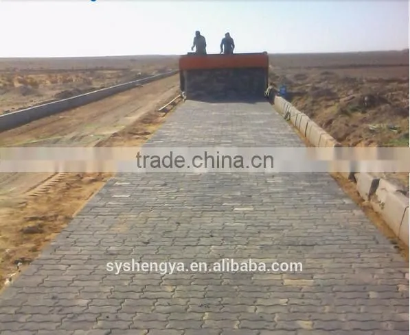 Shengya Brand Block paver machine SY6-400 price in Ethiopia