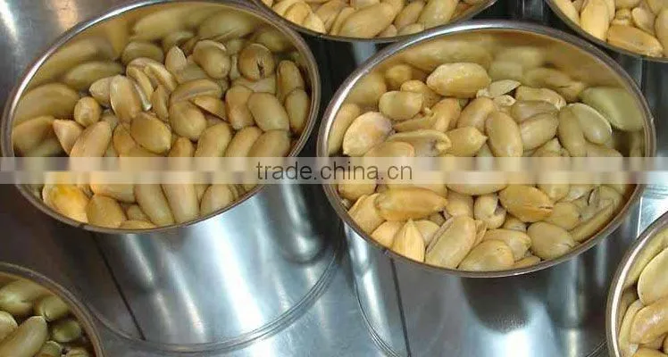 Canned Fried & Salted Peanuts Roasted 150g Groundnut