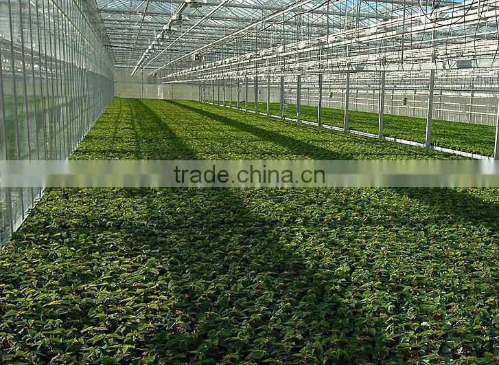China Made and Best Economic Home Roof