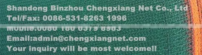 Climbing Safety Net