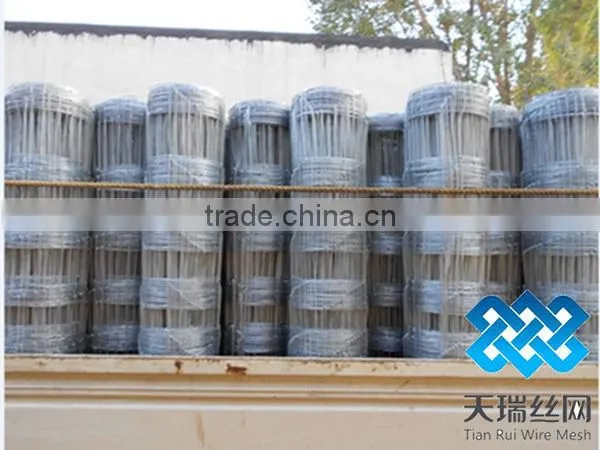 High Zinc Grassland Fence/Cattle Fence ( Factory)