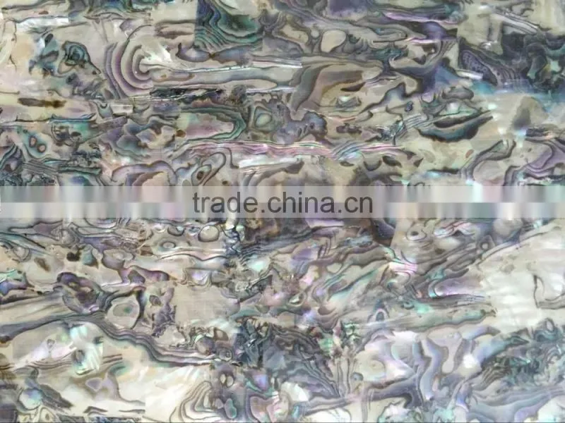 Modern Mexico Paua Shell Wallpaper For Interior Spa Decoration