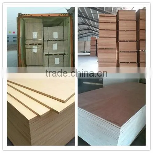 China new products bending plywood for chair making