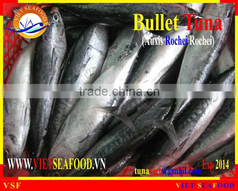 FROZEN W/R BULLET TUNA