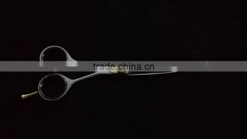 Professional Sharpening Hairdressing Scissors