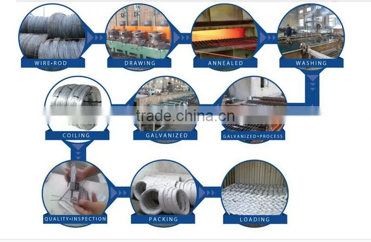 High Quality Standard Galvanized Iron Wire with Factory Price