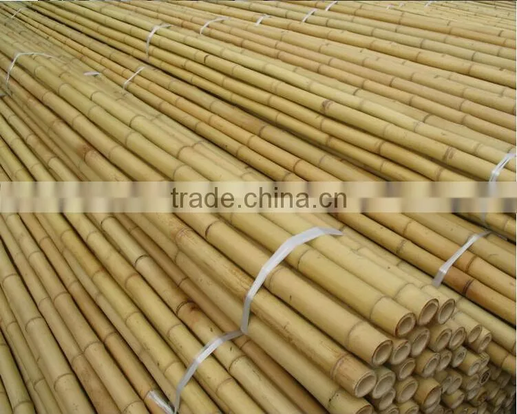 Natural tonkin Bamboo Cane