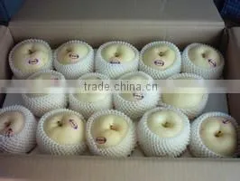 Huangguan Pear/ Crown pear / Golden pear