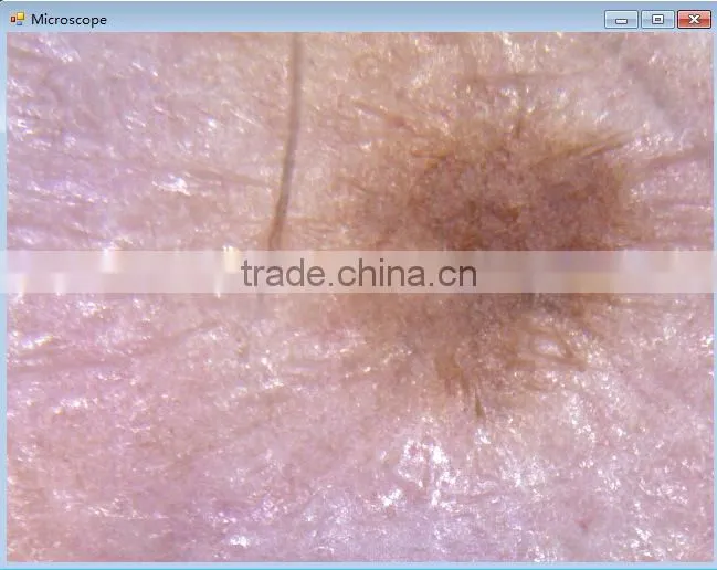 Shenzhen factory wholesale 600 times USB Portable Digital Microscope manufacturers