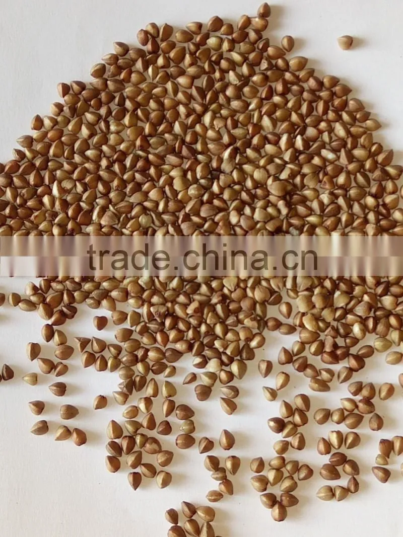 Brown Color and Dried Style Roasted Buckwheat groats