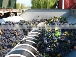 Grape peeling and crusher