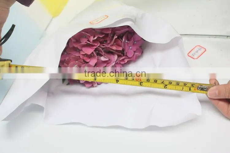 Fresh hot sale european style flower hydrangea