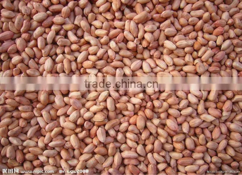 rice bran oil expeller,extraction press machine