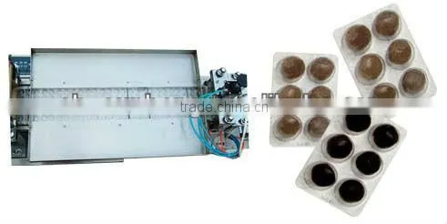 DPP160G/250G Big Honey Pill Blister Packing Machine