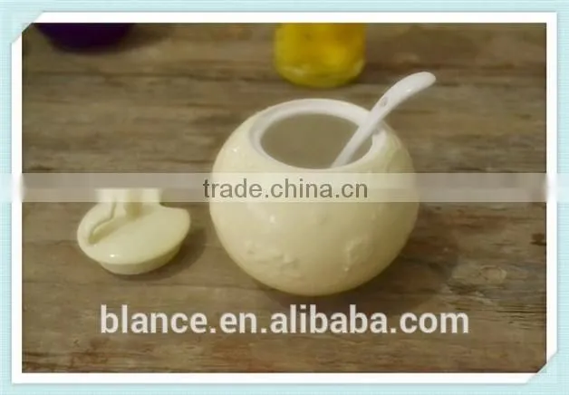 ceramic spice container in cooking seasoning set