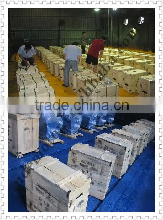 ML Aluminum Housing Motor