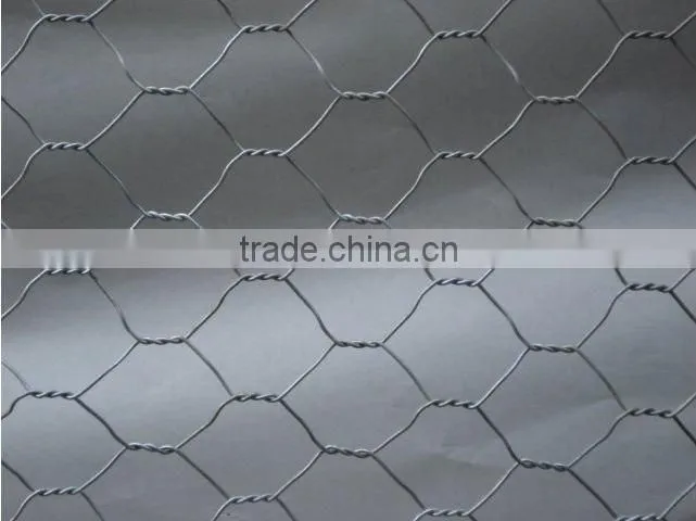Roll Hexagonal Chicken Wire (Anping factory)