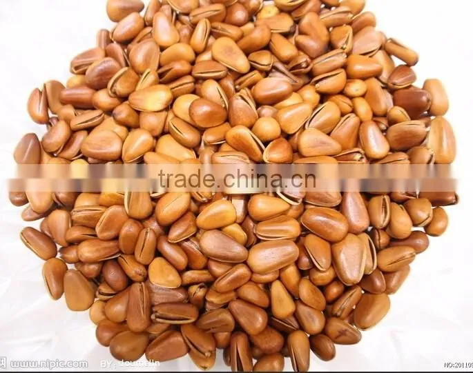 Pine nut hazelnut almond huller(whatsapp:13782789572)