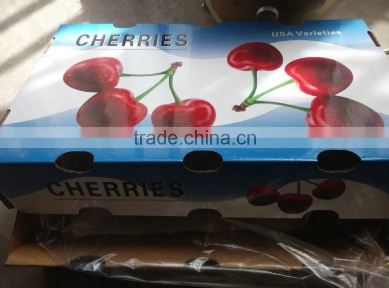 import china products fresh cherry high quality bagged
