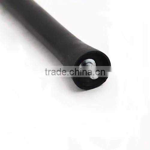 9'' Screw-in AM/FM Roof Antenna Whip Mast