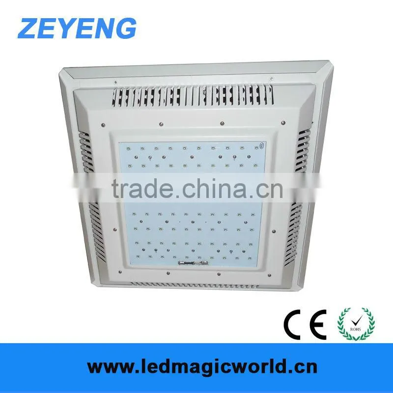 200W CREE Canopy LED Light Fixture