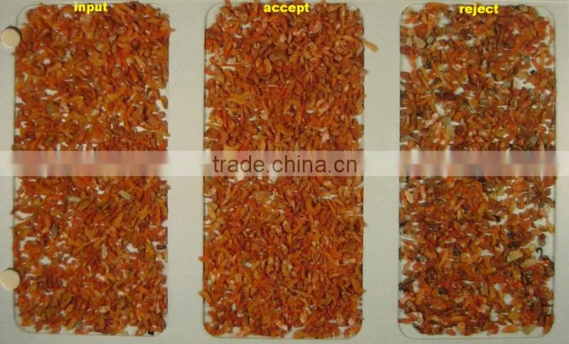 VSEE dry onion color sorter