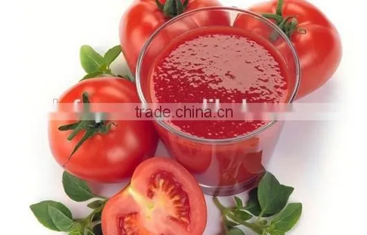 Bulk ,canned tomato paste in china ,cheap price
